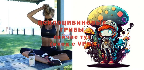дмт Протвино