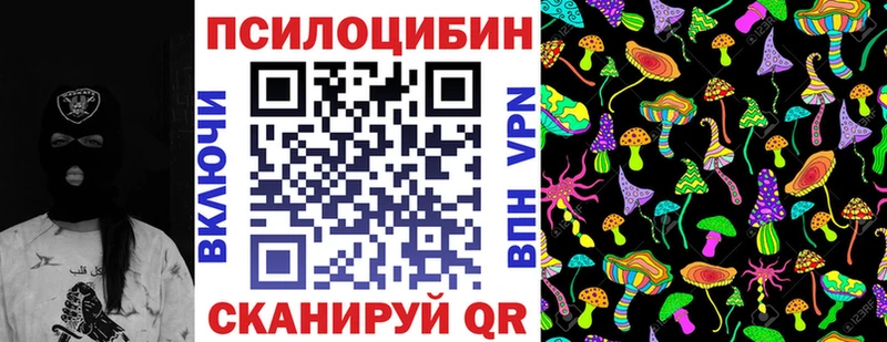 где можно купить   Якутск  Галлюциногенные грибы Cubensis 